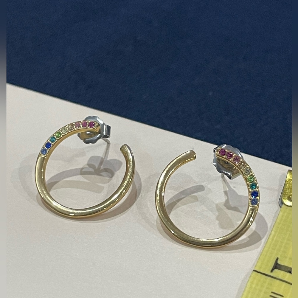 Rainbow Swirl Earrings